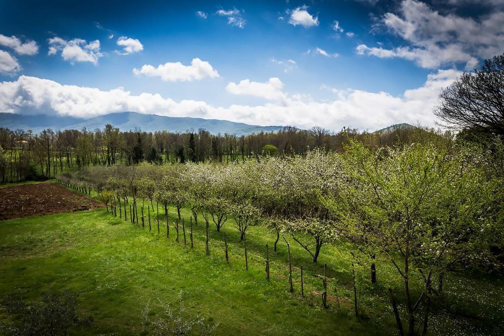 La Dolce Mela Villa Buonabitacolo Buitenkant foto